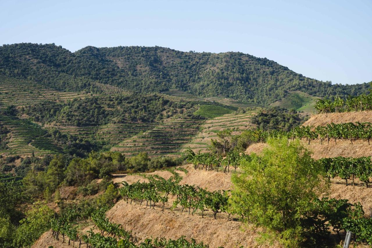 Ora Hotel Priorat, A Member Of Design Hotels Torroja Buitenkant foto